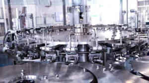 dm 20251016225700 002